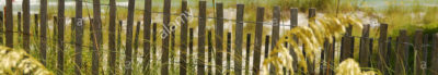 Photograph Of The Blue Green Gulf Of Mexico As Seen From A Dune Fence Dbxe98