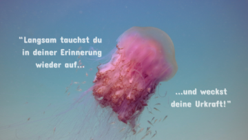 Wecke deine 21