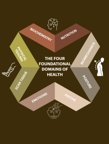 4 AFEFBFC 2282 46 DB 88 F8 1 F2 AA8 A349 F1