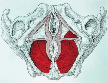 B1b723e1 b7f2 4072 9480 95425becb27a 2177x1673