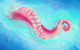 Unbenanntes Projekt 11